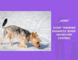 News-Scent Training Enhances Dogs’ Inhibitory Control