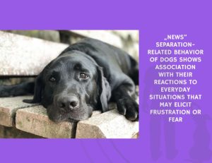 News-Separation-Related Behavior of Dogs Shows Association with Their Reactions to Everyday Situations That May Elicit Frustration or Fear