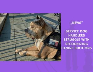 News-Service Dog Handlers Struggle with Recognizing Canine Emotions