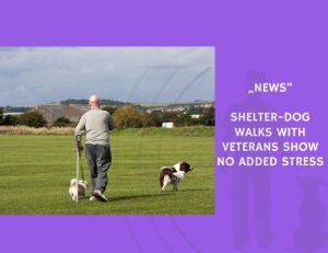 News-Shelter-Dog Walks with Veterans Show No Added Stress