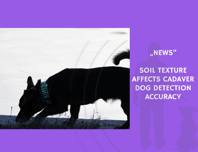 News-Soil Texture Affects Cadaver Dog Detection Accuracy