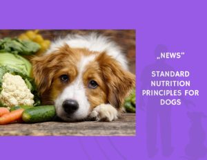 News-Standard Nutrition Principles for Dogs