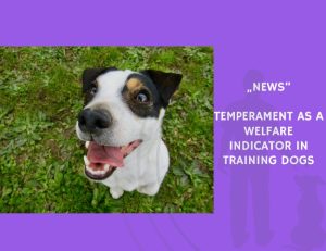 News-Temperament as a Welfare Indicator in Training Dogs
