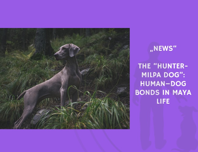 News-The “Hunter-Milpa Dog” Human–Dog Bonds in Maya Life