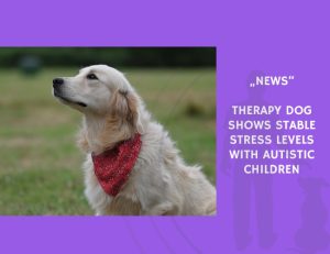 News-Therapy Dog Shows Stable Stress Levels with Autistic Children
