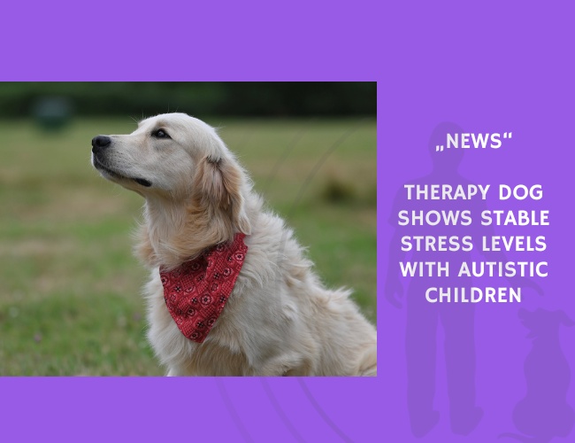 News-Therapy Dog Shows Stable Stress Levels with Autistic Children