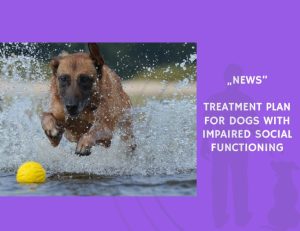 News-Treatment Plan for Dogs With Impaired Social Functioning