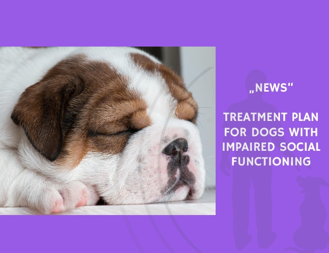 News-Treatment Plan for Dogs with Impaired Social Functioning