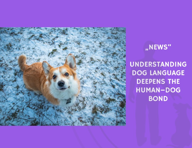 News-Understanding Dog Language Deepens the Human–Dog Bond