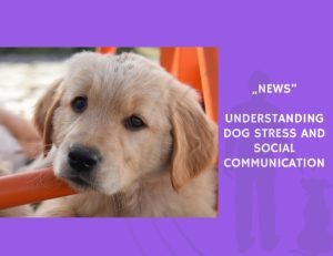 News-Understanding Dog Stress and Social Communication