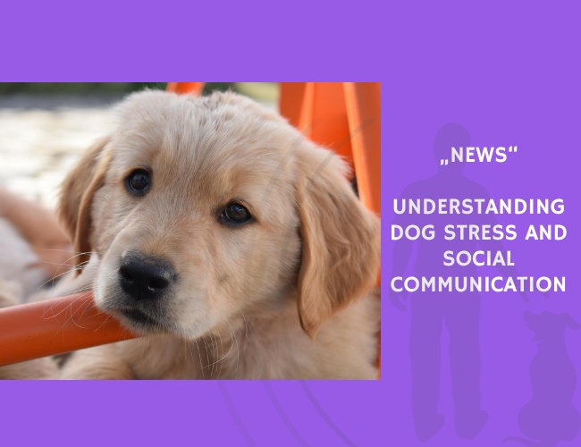 News-Understanding Dog Stress and Social Communication