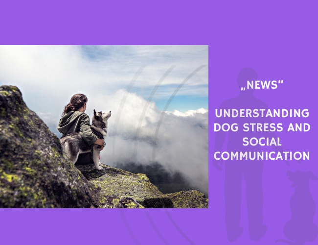 News-Understanding Dog Stress and Social Communication