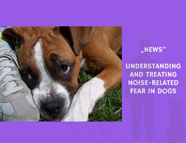 News-Understanding and Treating Noise-Related Fear in Dogs