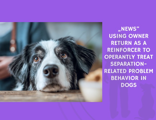 News-Using Owner Return as a Reinforcer to Operantly Treat Separation-Related Problem Behavior in Dogs
