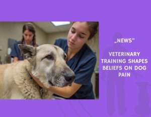 News-Veterinary Training Shapes Beliefs on Dog Pain