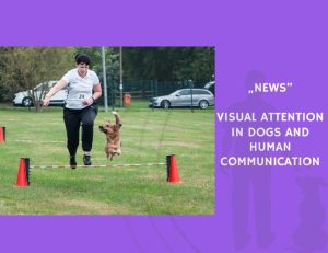 News-Visual Attention in Dogs and Human Communication