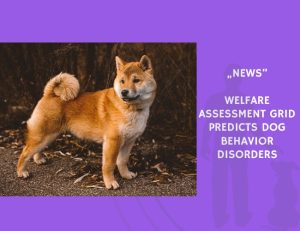 News-Welfare Assessment Grid Predicts Dog Behavior Disorders