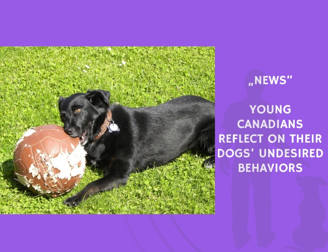 News-Young Canadians Reflect on Their Dogs’ Undesired Behaviors
