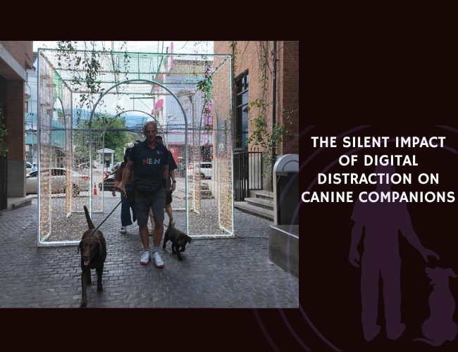 The Silent Impact of Digital Distraction on Canine Companions