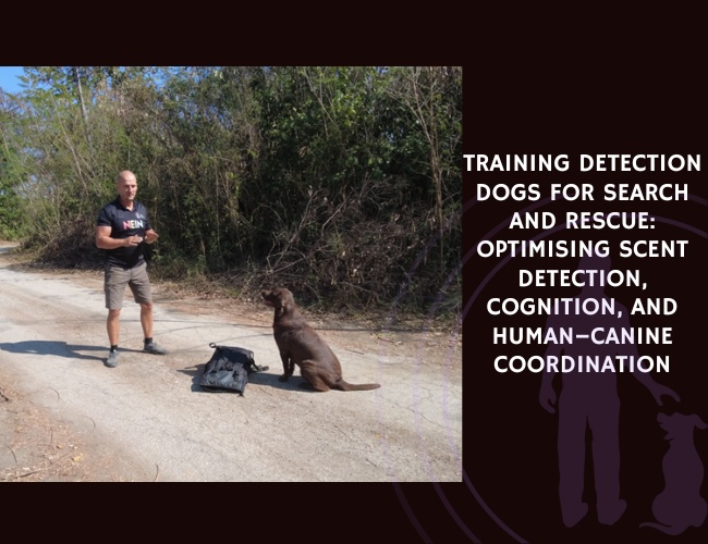 Training Detection Dogs for Search and Rescue Optimising Scent Detection, Cognition, and Human–Canine Coordination