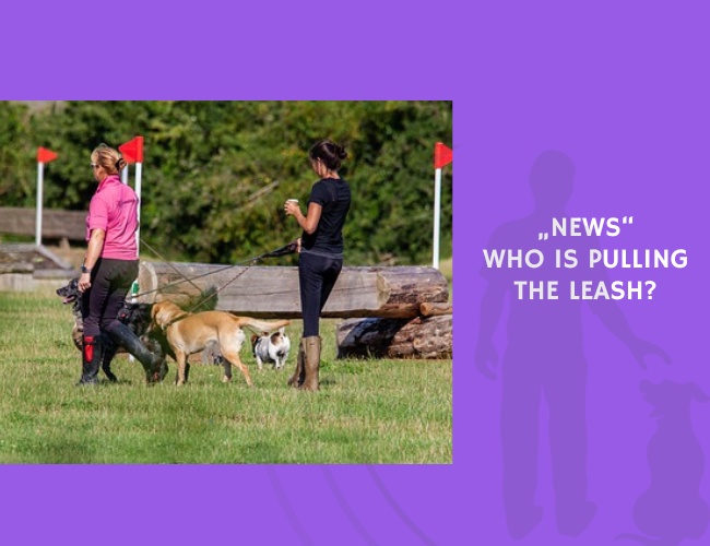 Who Is Pulling the Leash