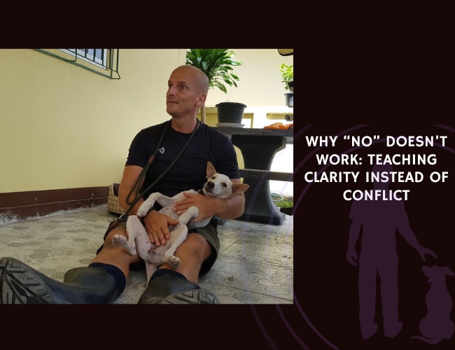 Why “No” Doesn’t Work Teaching Clarity Instead of Conflict