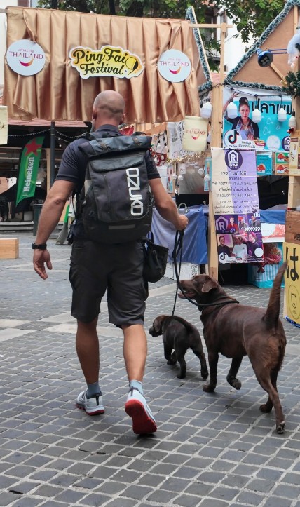 Man walking two dogs at festival