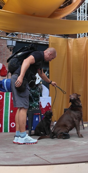 Man interacting with two dogs.