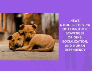 A Dog’s-Eye View of Cognition Scavenger Origins, Socialization, and Human Dependency