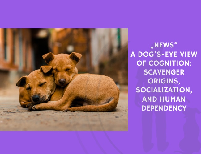 A Dog’s-Eye View of Cognition Scavenger Origins, Socialization, and Human Dependency