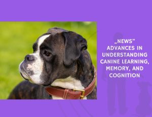 Advances in Understanding Canine Learning, Memory, and Cognition