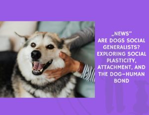 Are Dogs Social Generalists Exploring Social Plasticity, Attachment, and the Dog–Human Bond