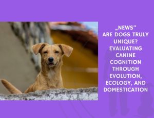 Are Dogs Truly Unique Evaluating Canine Cognition Through Evolution, Ecology, and Domestication