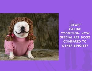 Canine Cognition How Special Are Dogs Compared to Other Species