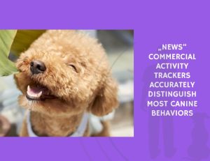 Commercial Activity Trackers Accurately Distinguish Most Canine Behaviors