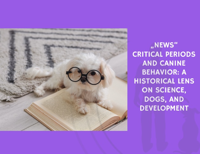 Critical Periods and Canine Behavior A Historical Lens on Science, Dogs, and Development