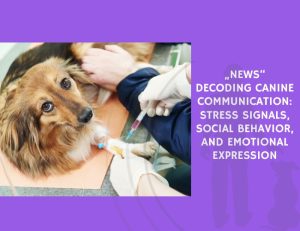 Decoding Canine Communication Stress Signals, Social Behavior, and Emotional Expression