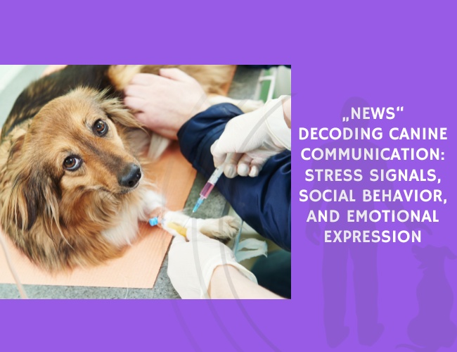 Decoding Canine Communication Stress Signals, Social Behavior, and Emotional Expression