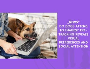 Do Dogs Attend to Images Eye-Tracking Reveals Visual Preferences and Social Attention