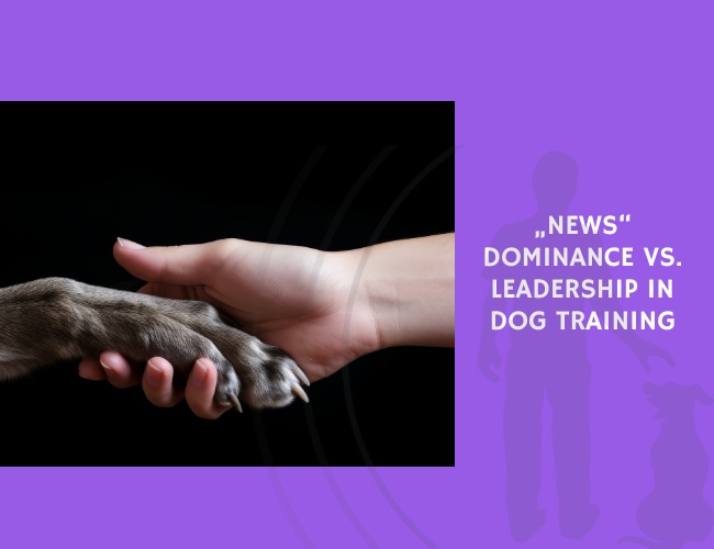 Dominance vs. Leadership in Dog Training