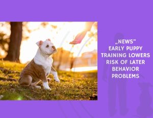 Early Puppy Training Lowers Risk of Later Behavior Problems