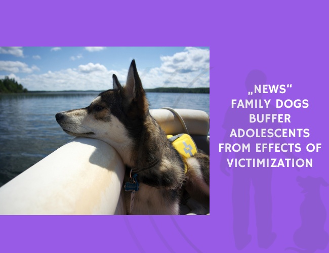 Family Dogs Buffer Adolescents From Effects of Victimization