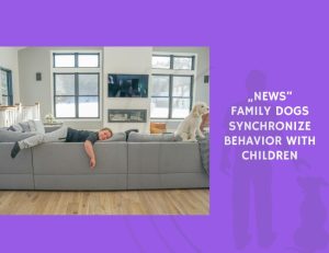 Family Dogs Synchronize Behavior With Children