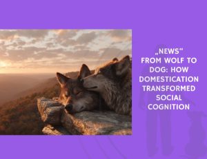 From Wolf to Dog How Domestication Transformed Social Cognition