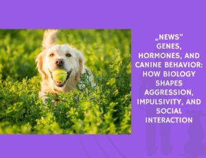 Genes, Hormones, and Canine Behavior How Biology Shapes Aggression, Impulsivity, and Social Interaction