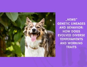 Genetic Lineages and Behavior How Dogs Evolved Diverse Temperaments and Working Traits