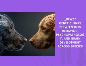 Genetic Links Between Dog Behavior, Psychopathology, and Brain Development Across Species