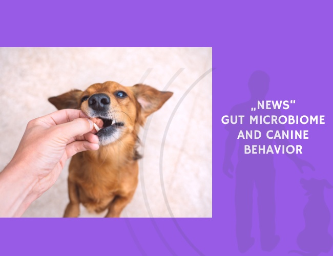 Gut Microbiome and Canine Behavior