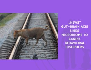 Gut–Brain Axis Links Microbiome to Canine Behavioral Disorders