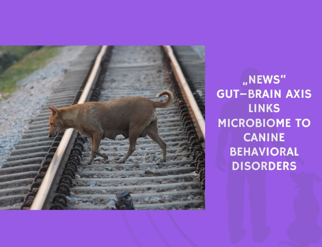 Gut–Brain Axis Links Microbiome to Canine Behavioral Disorders